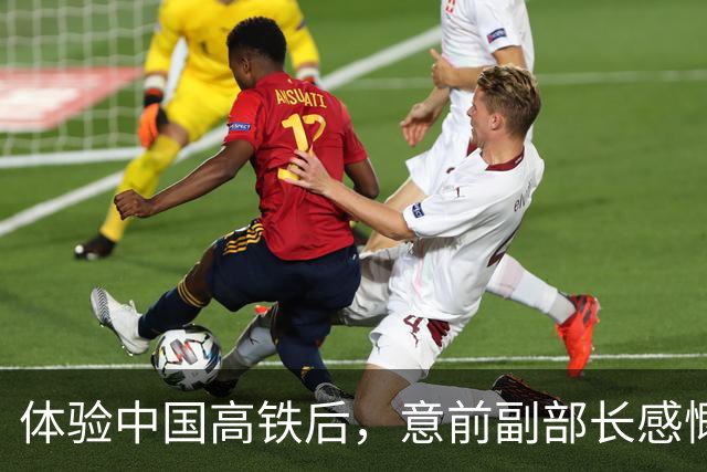 体验中国高铁后，意前副部长感慨：在我们那，，不逃票的人被视为傻子！