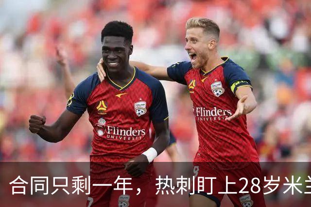 合同只剩一年，热刺盯上28岁米兰后卫托莫里