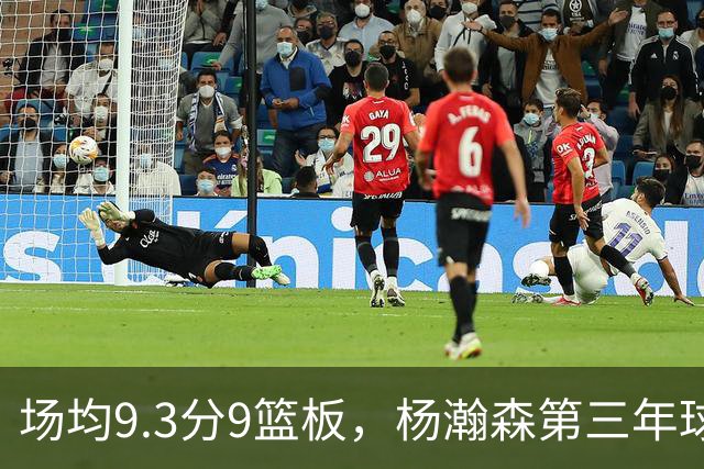 场均9.3分9篮板，杨瀚森第三年球队选项被执行