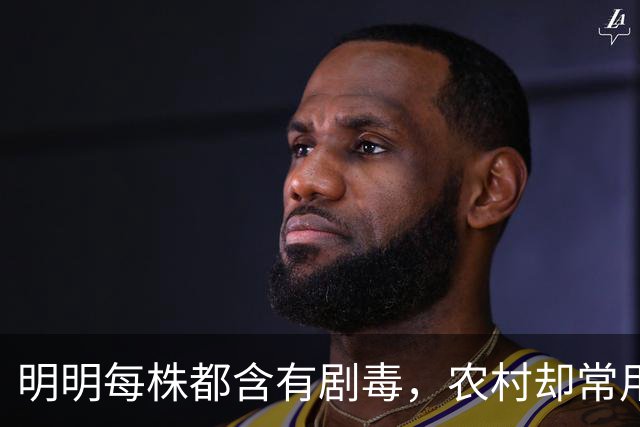 明明每株都含有剧毒，农村却常用来做腌菜，如今为何消失不见？