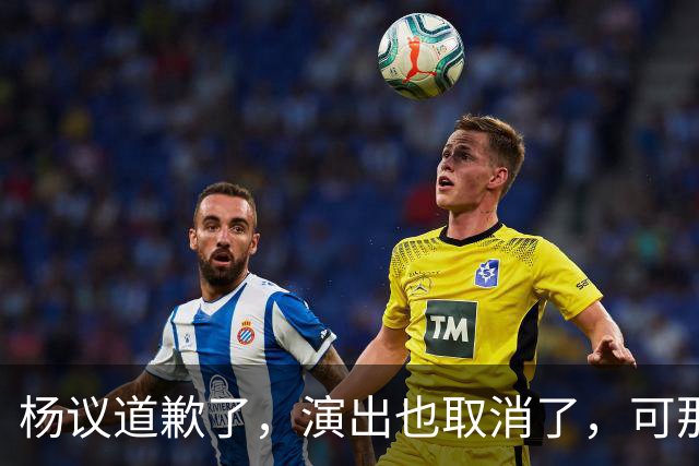 杨议道歉了，演出也取消了，可那句，“误会”，什么都没解决