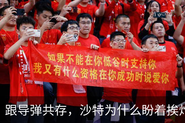 跟导弹共存，沙特为什么盼着挨炸？
