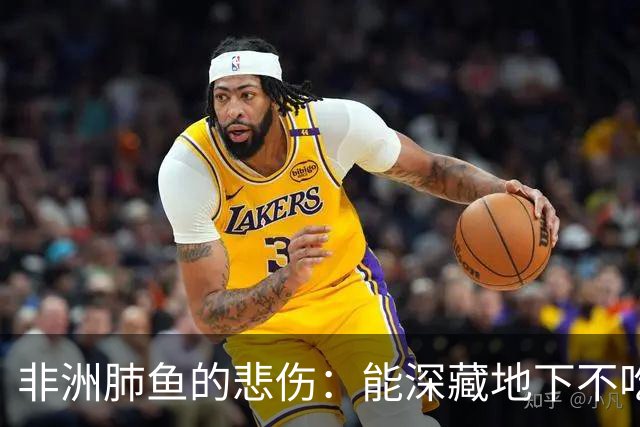 非洲肺鱼的悲伤：能深藏地下不吃不喝好几年，却躲不过人类的挖掘