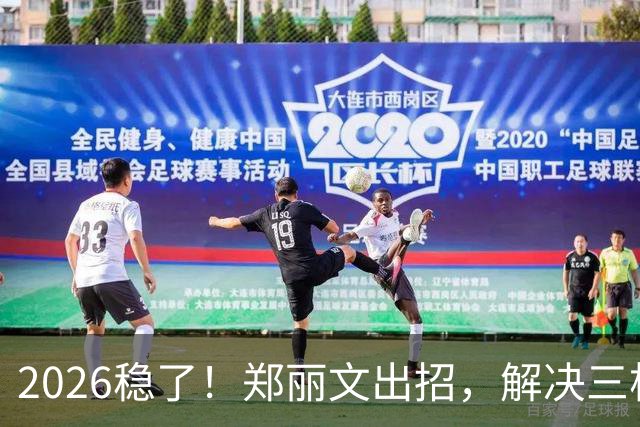 2026稳了！郑丽文出招，解决三根搅屎棍：侯友宜、卢秀燕、赵少康